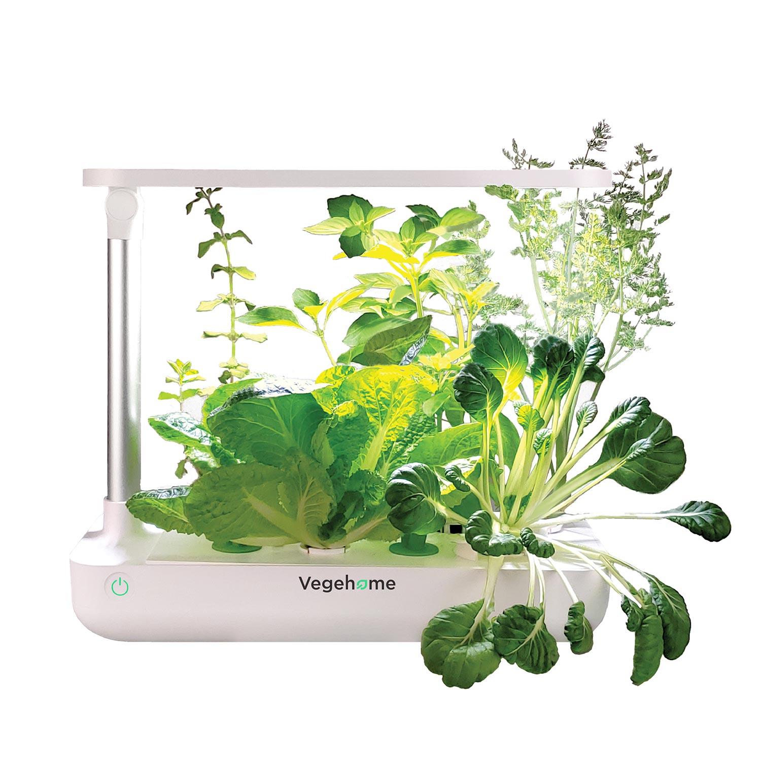 VegeHome Indoor Garden