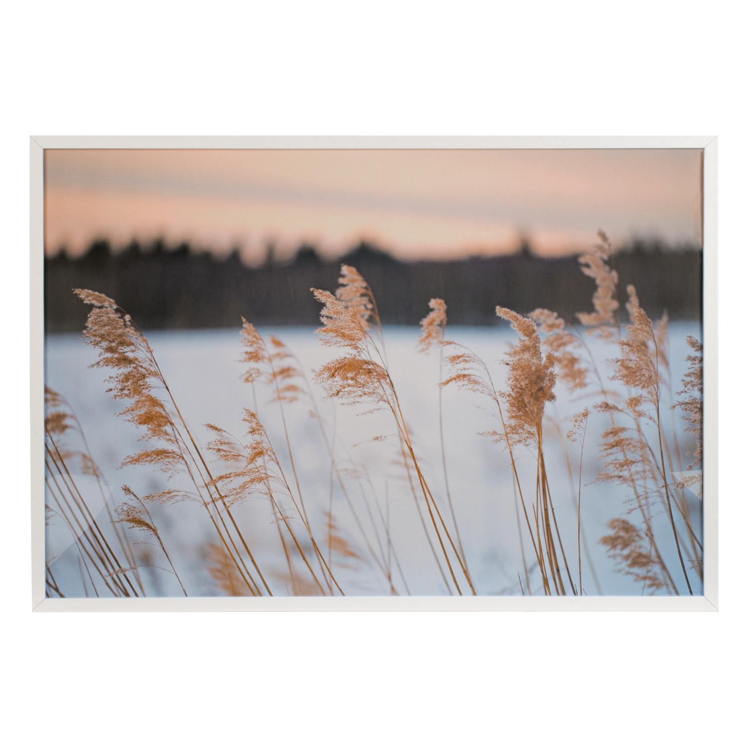 Wall Art-Graminae