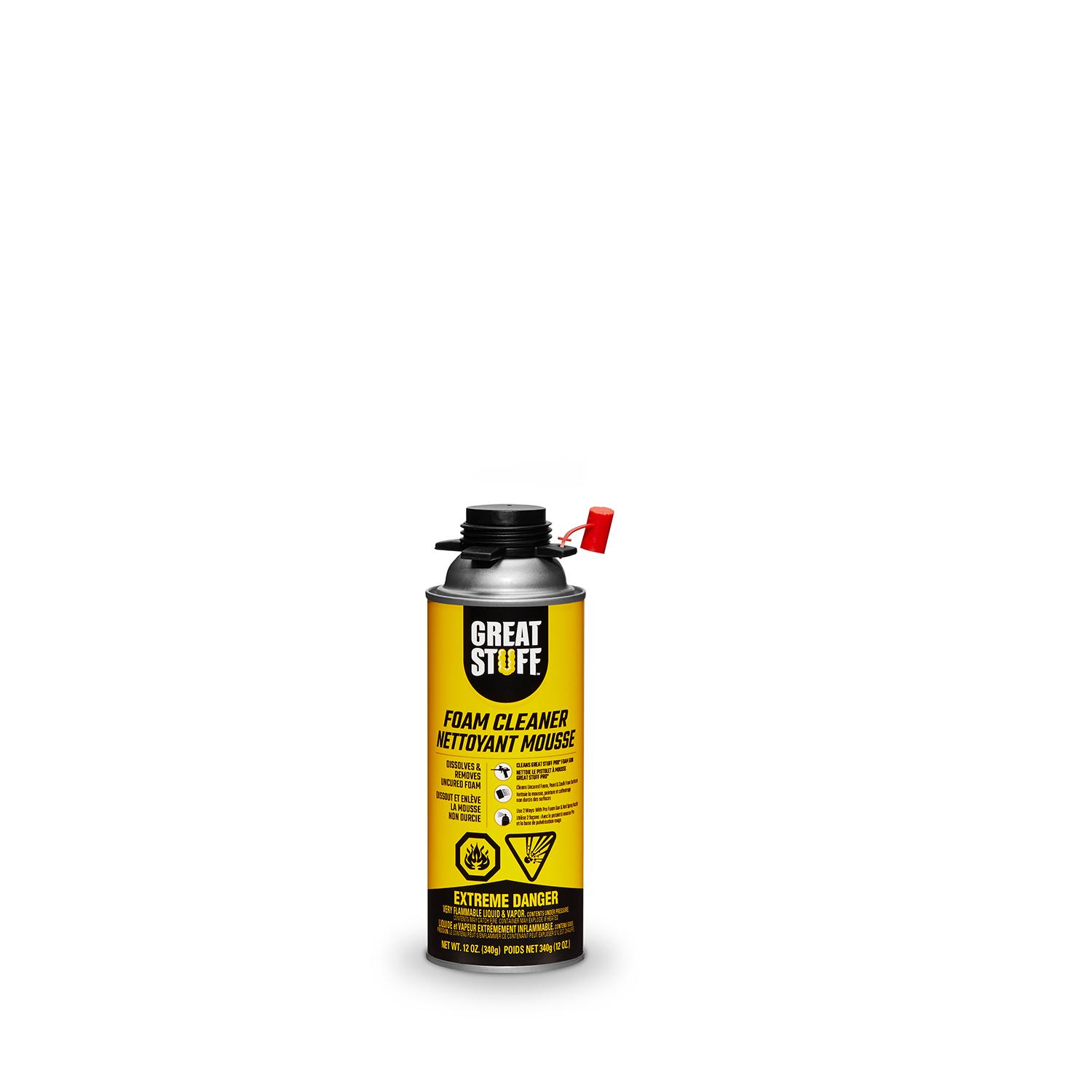Foam Cleaner 12oz