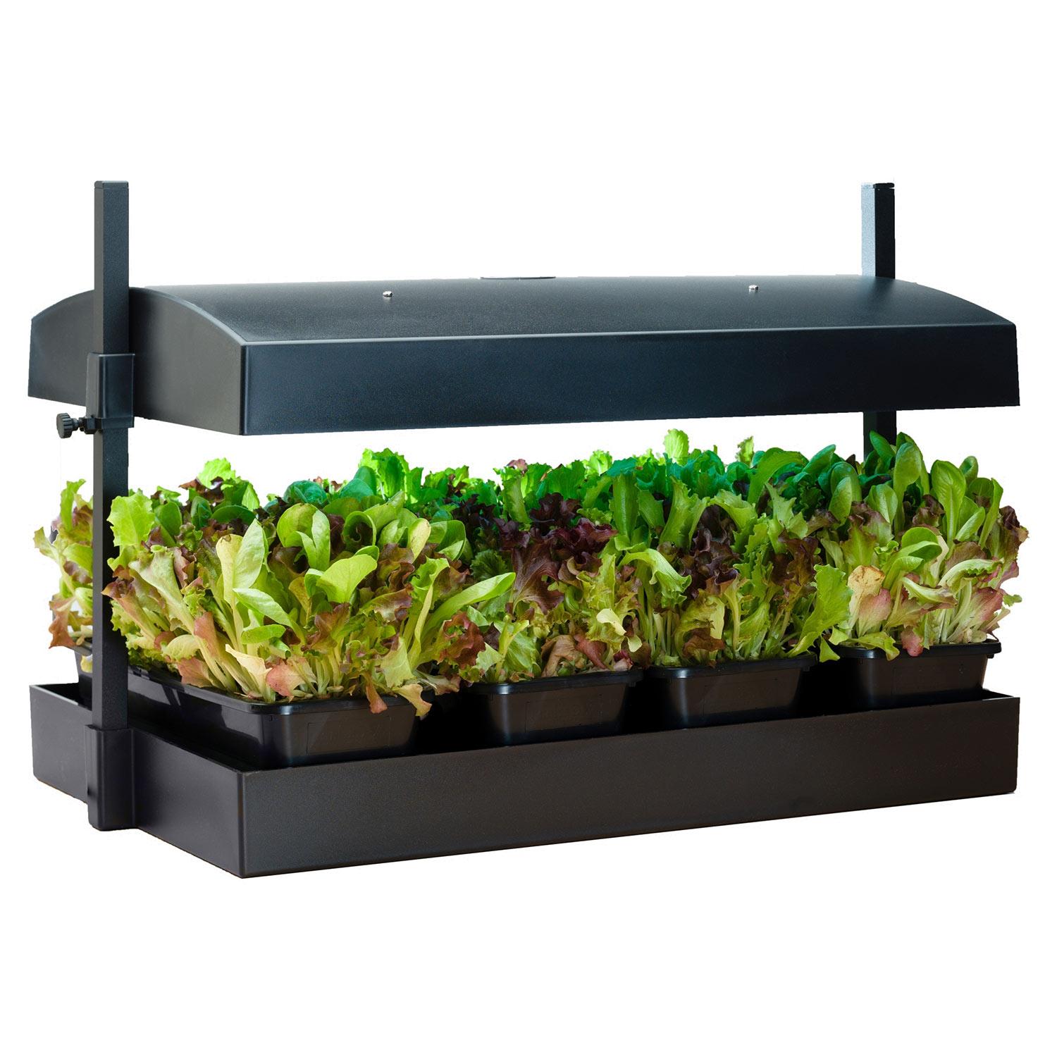 Grow Light Garden With Timer