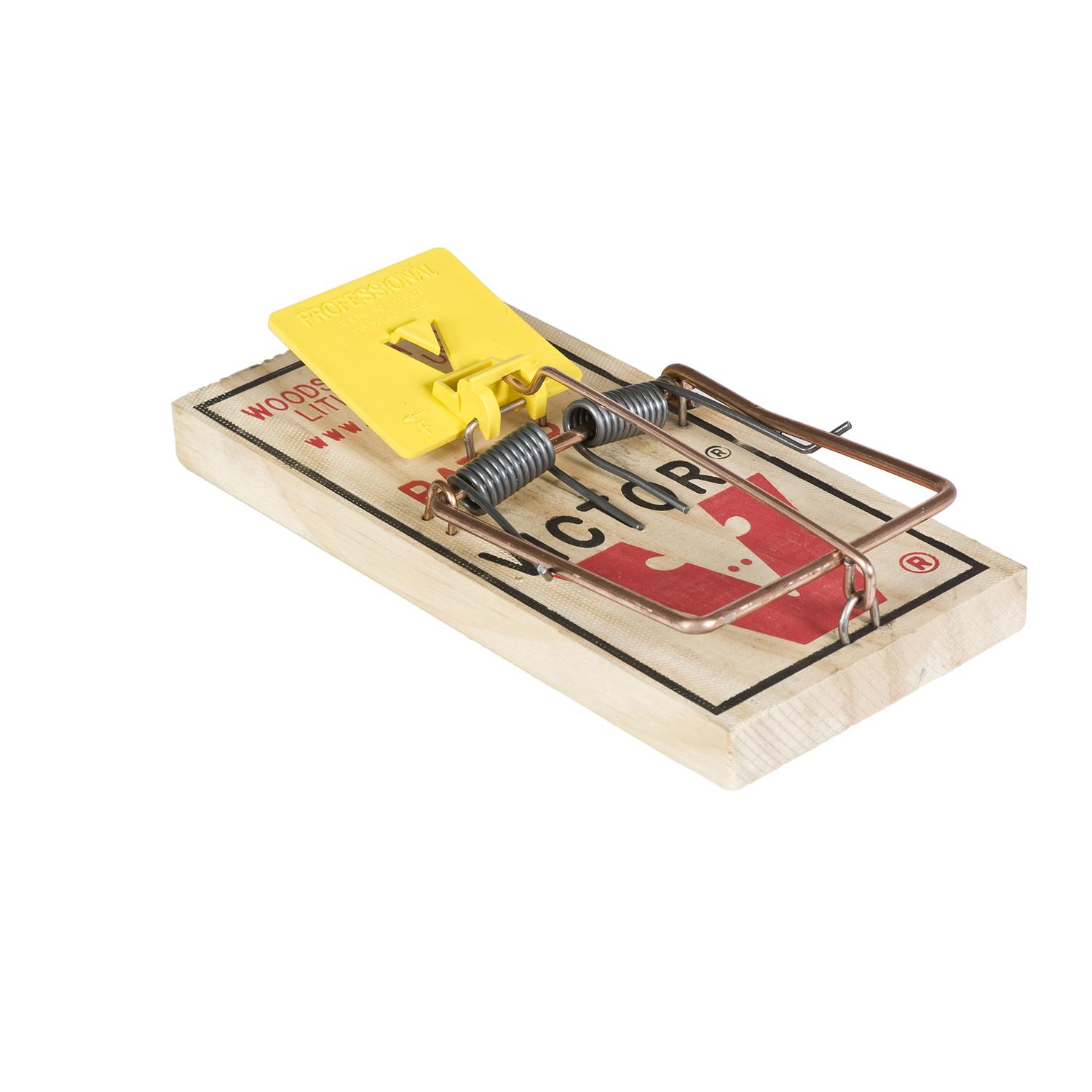Easy Set Rat Trap