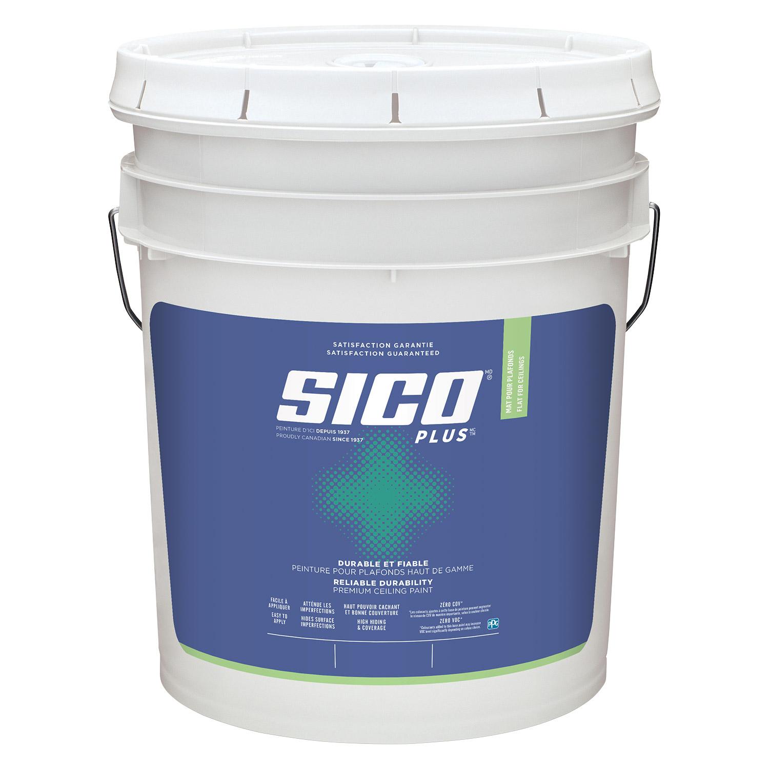 Plus Ceiling Paint Flat Finish-18.9L
