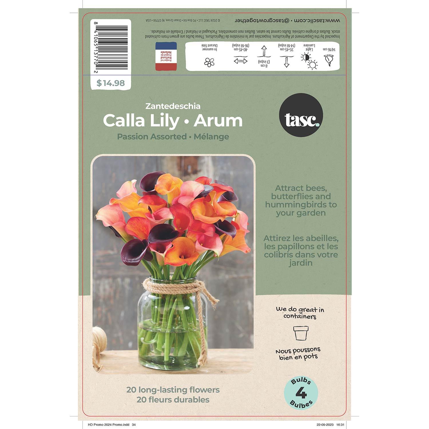 Calla Lily Passion Assorted