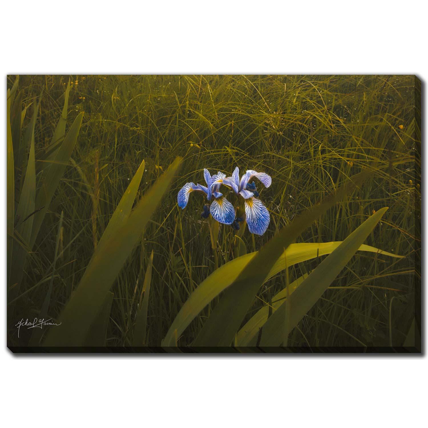Two Flowers Old House 30x45