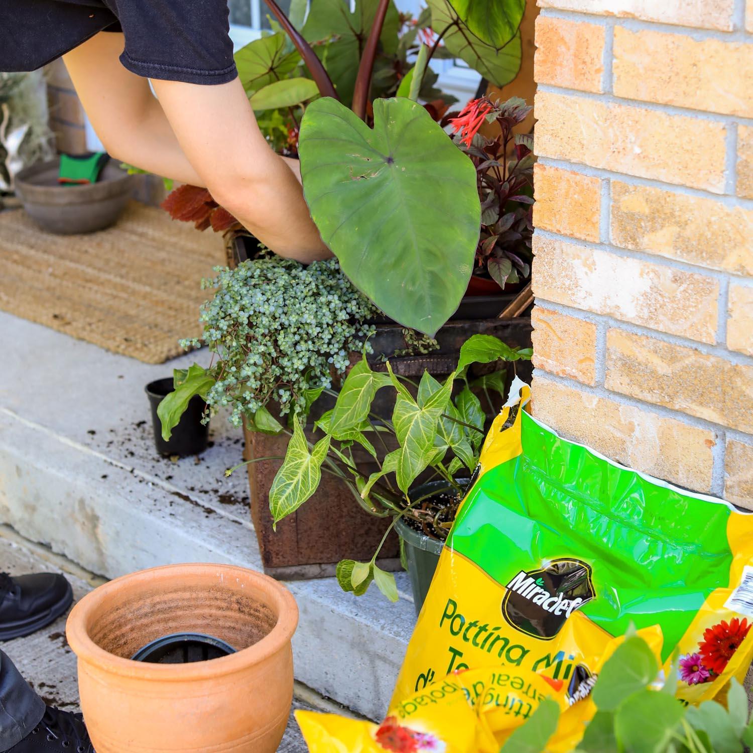 Moisture Control Potting Mix  25L