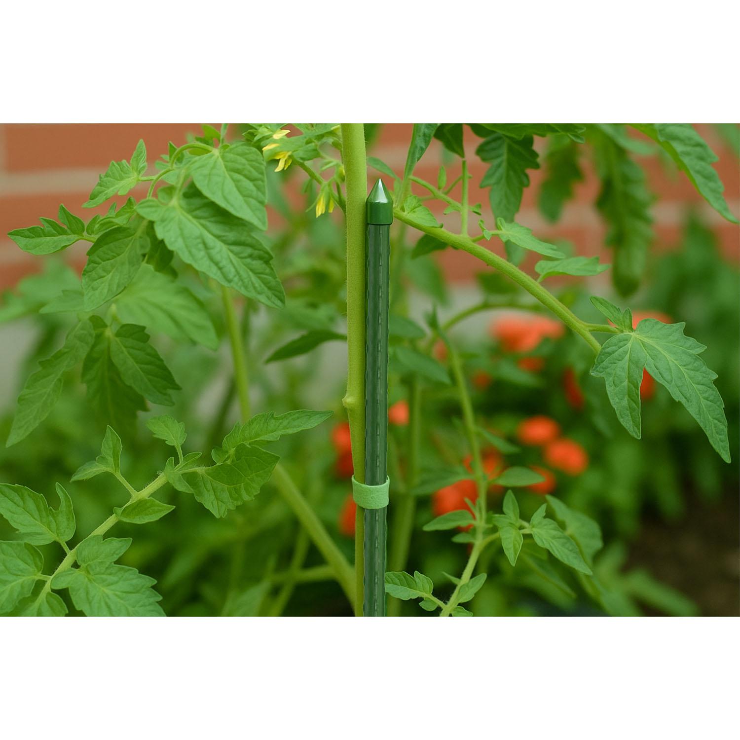 5' Plastic Coated Metal Plant Stake