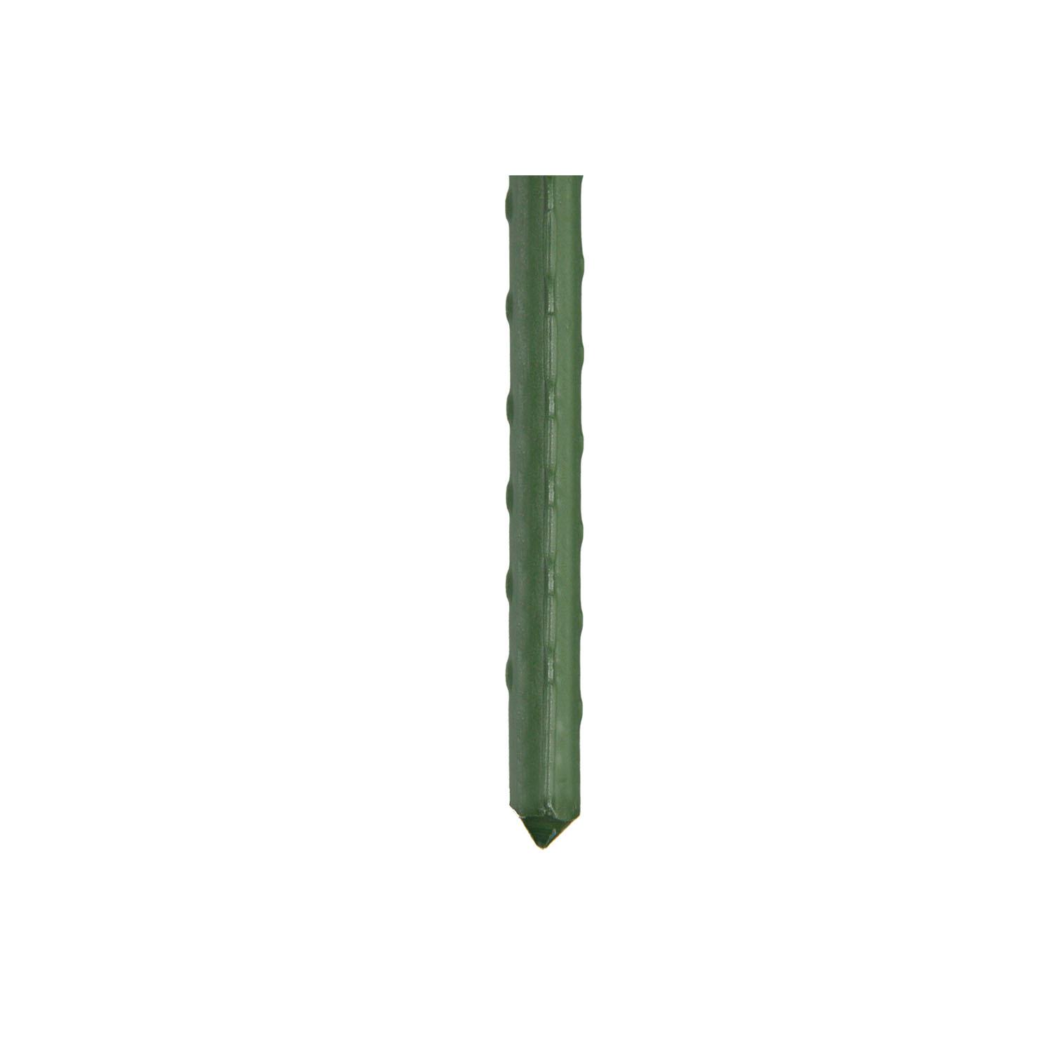 6' Plastic Coated Metal Plant Stake