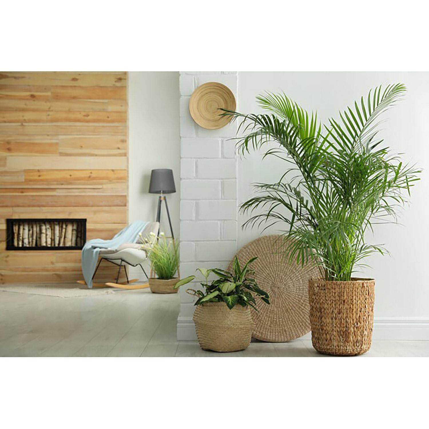 Wall Paneling Square Groove 10SF Pack 5-1/2Wx48Lx0.5T