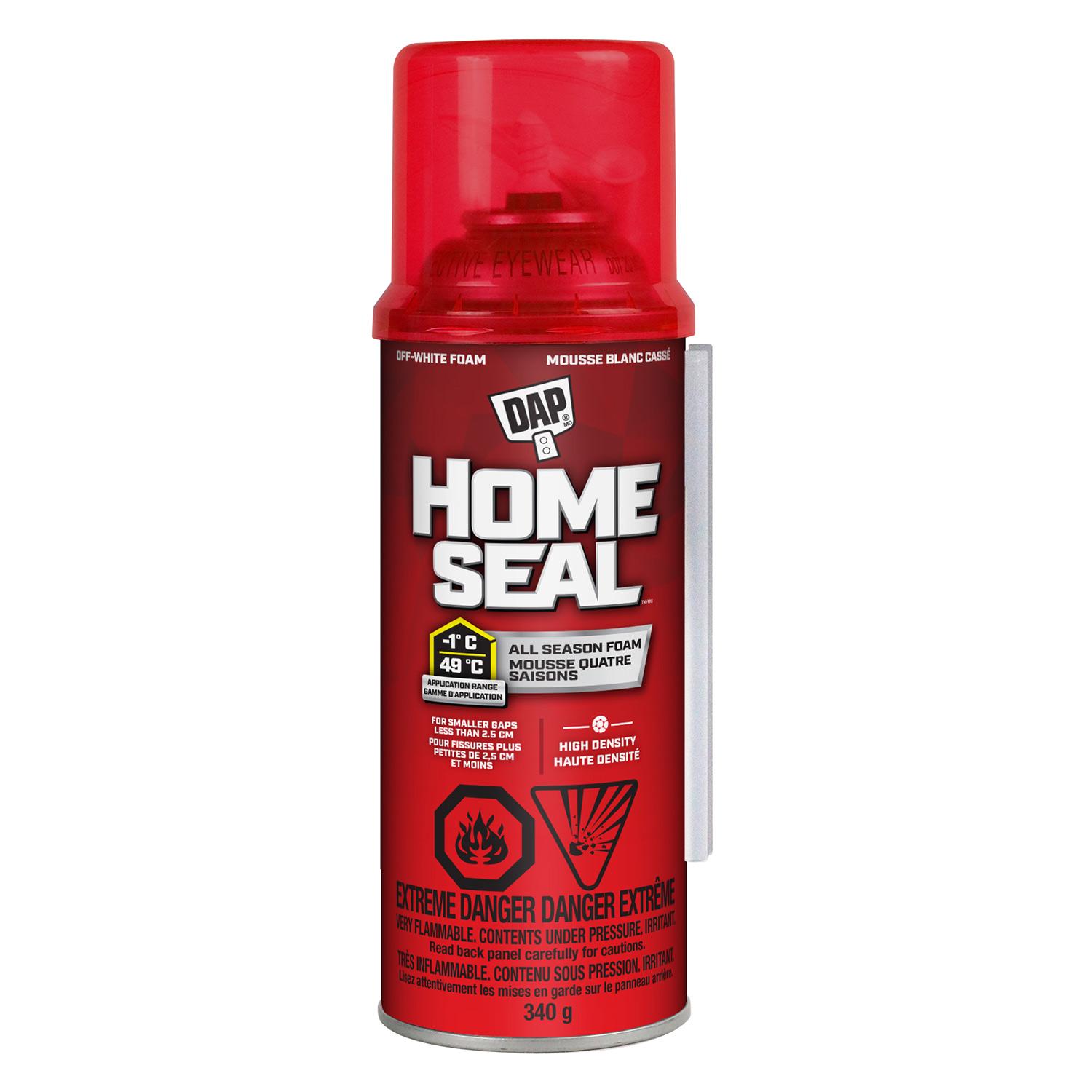 Home Seal Minimum Expanding Sealant 12oz