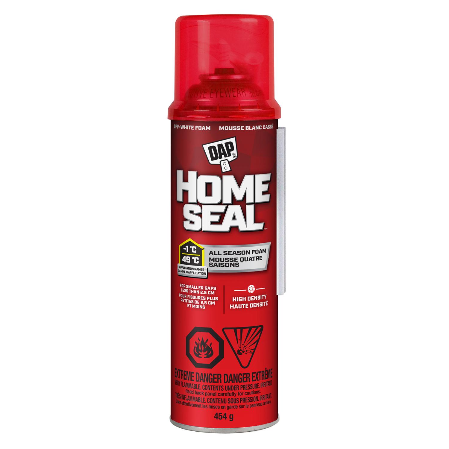 Home Seal Minimum Expanding Sealant 16oz