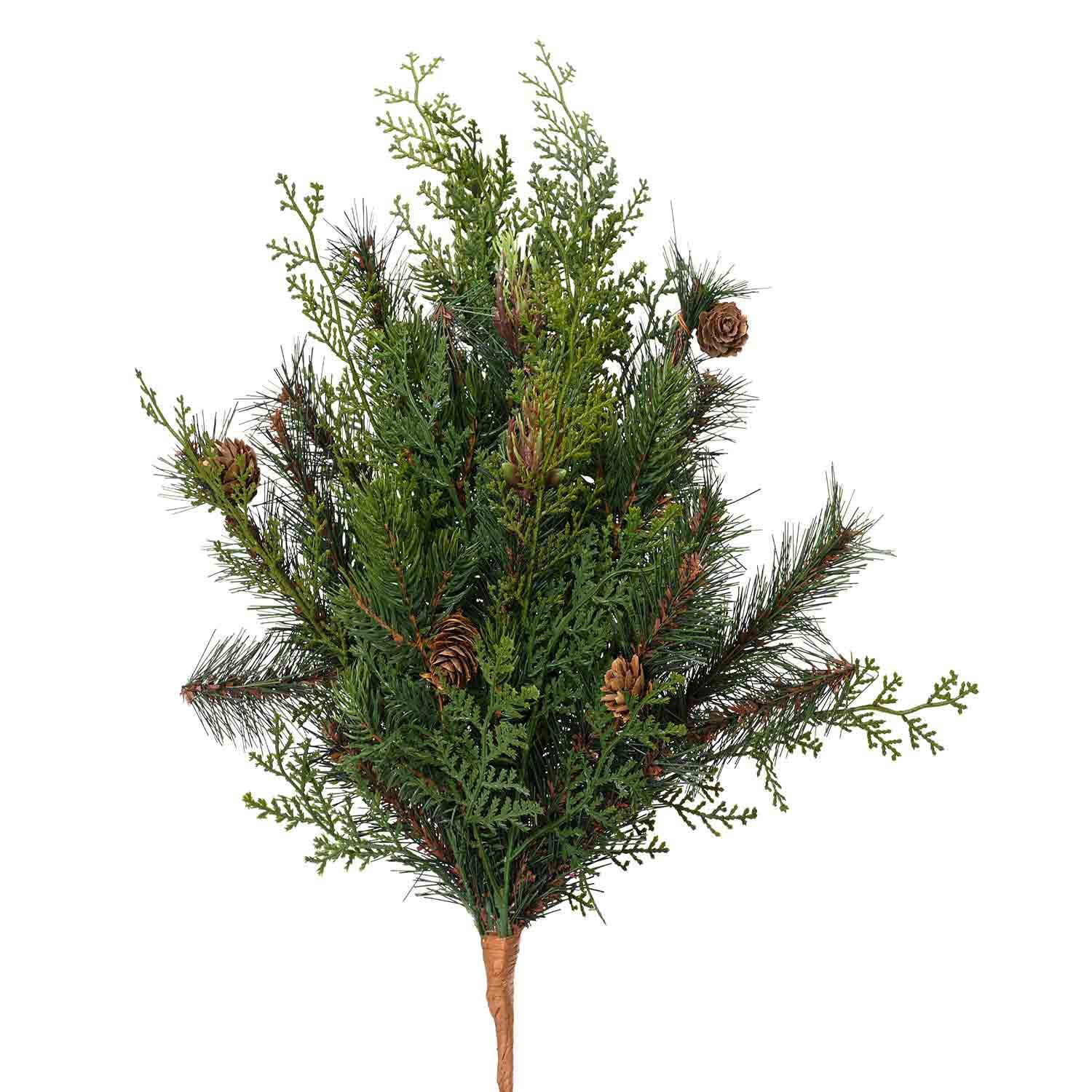 Cyprus Branch 19"