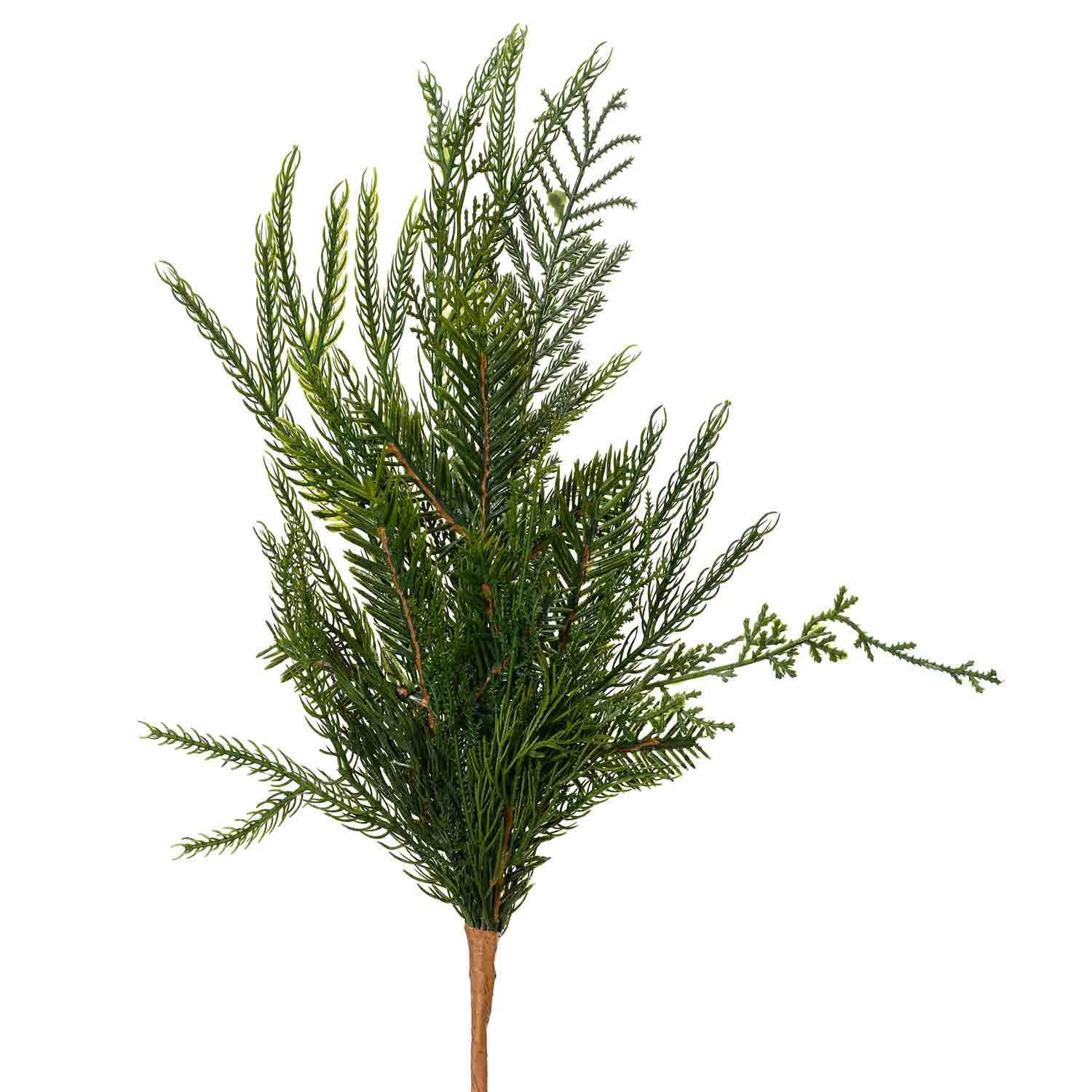 Branche de Genévrier 19"