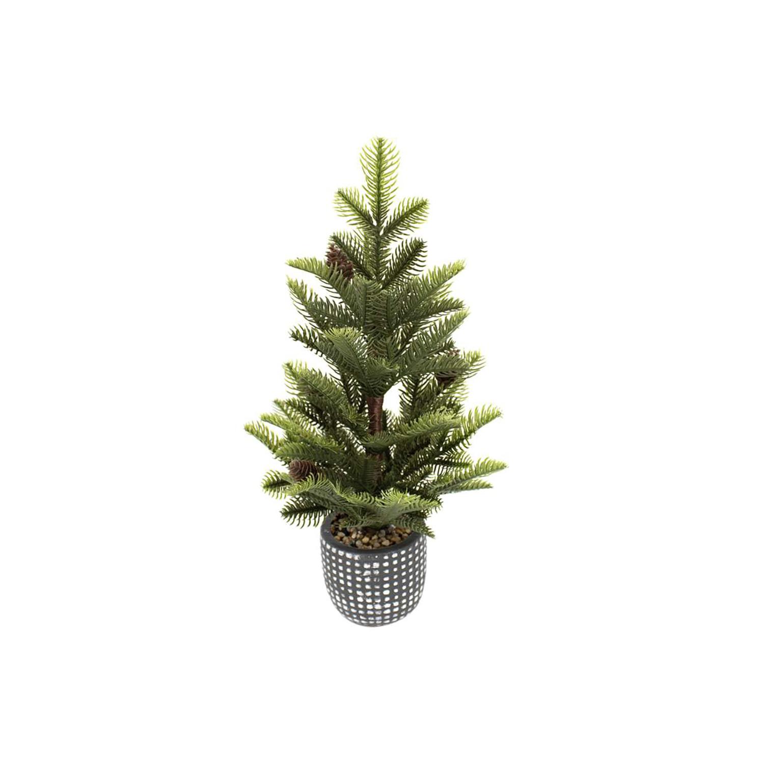 Mini Arbre en Pot 19"