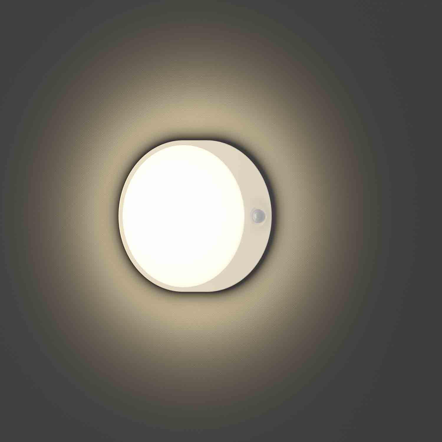 Rechargeable Motion Sensor Ceiling Light