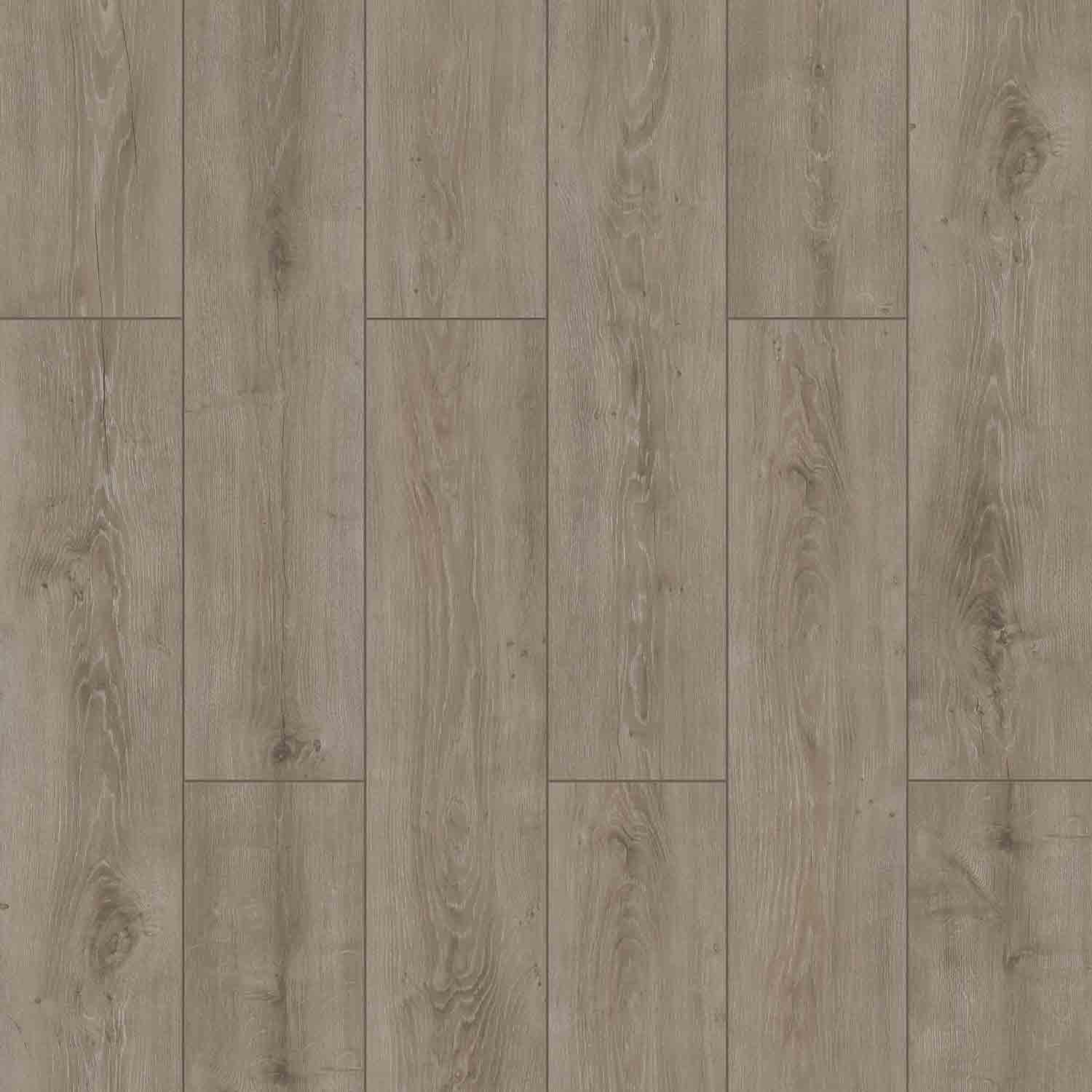 8mm Artfloor Parrot Water Resist Laminate 20.44 SqFt/Box