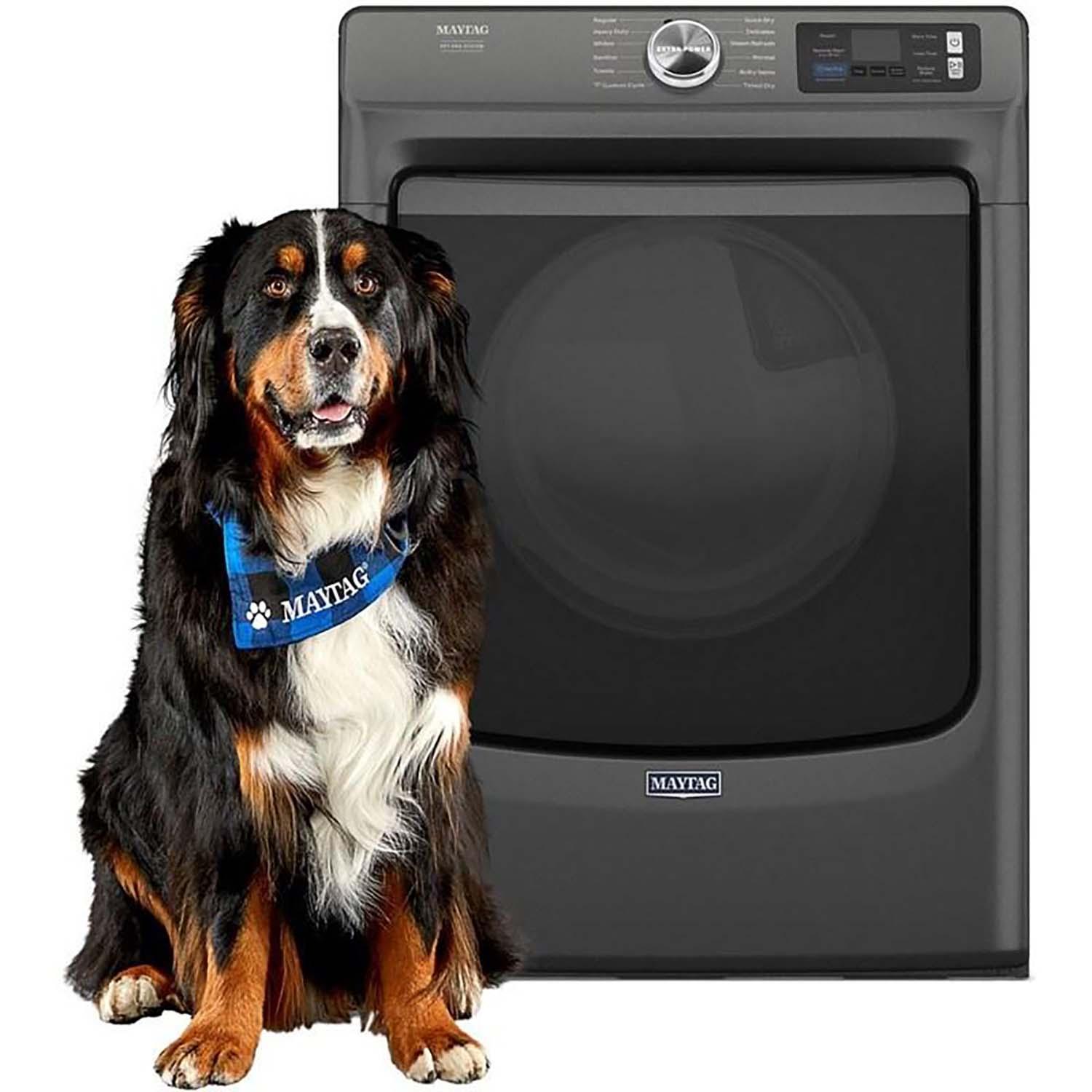 Gas Dryer with Pet Pro Option 7.4 cu. ft.