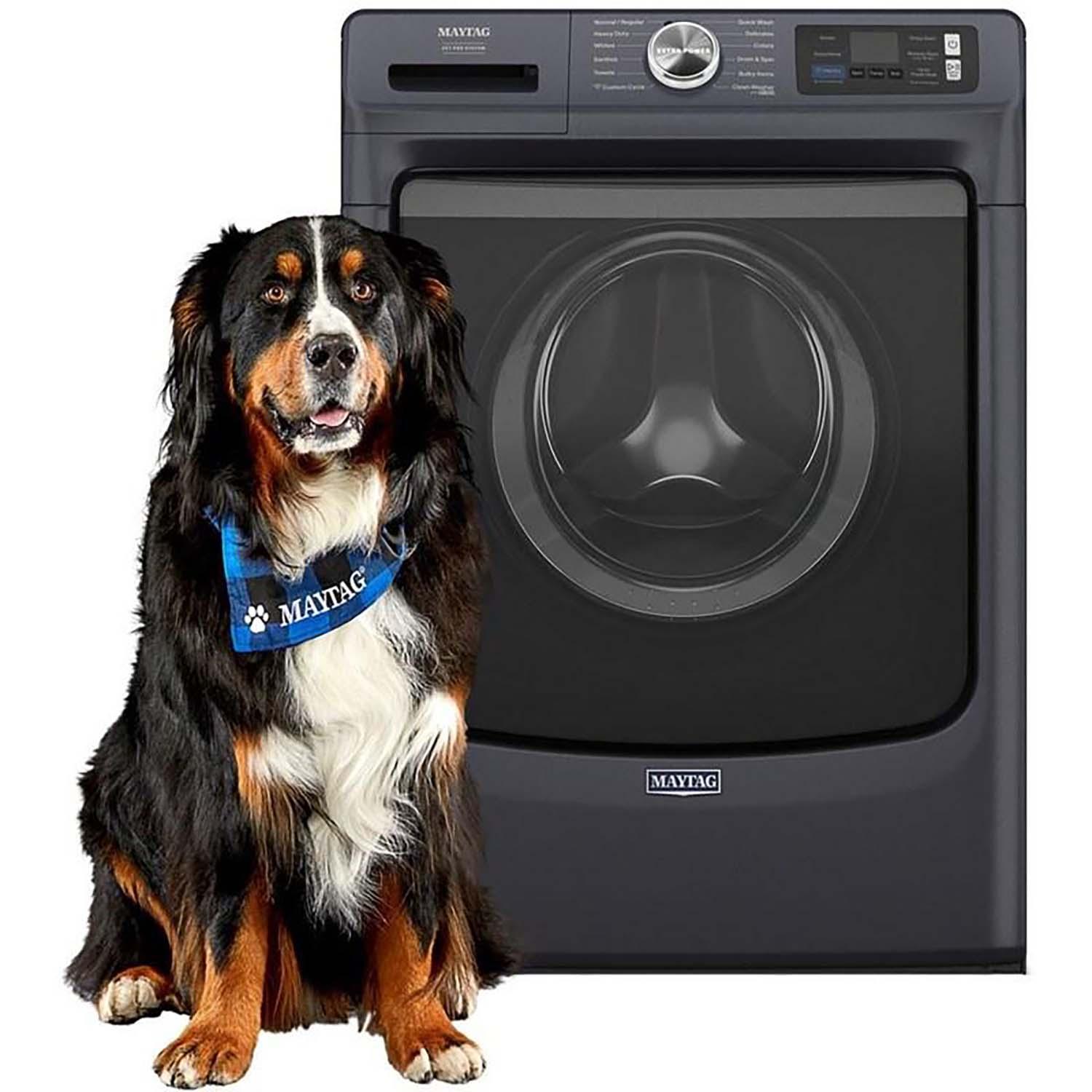 Front Load Washer with Pet Pro Option 5.8 cu. ft.