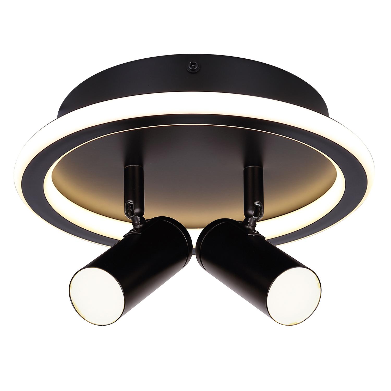 Denver 2-Light Track Fixture
