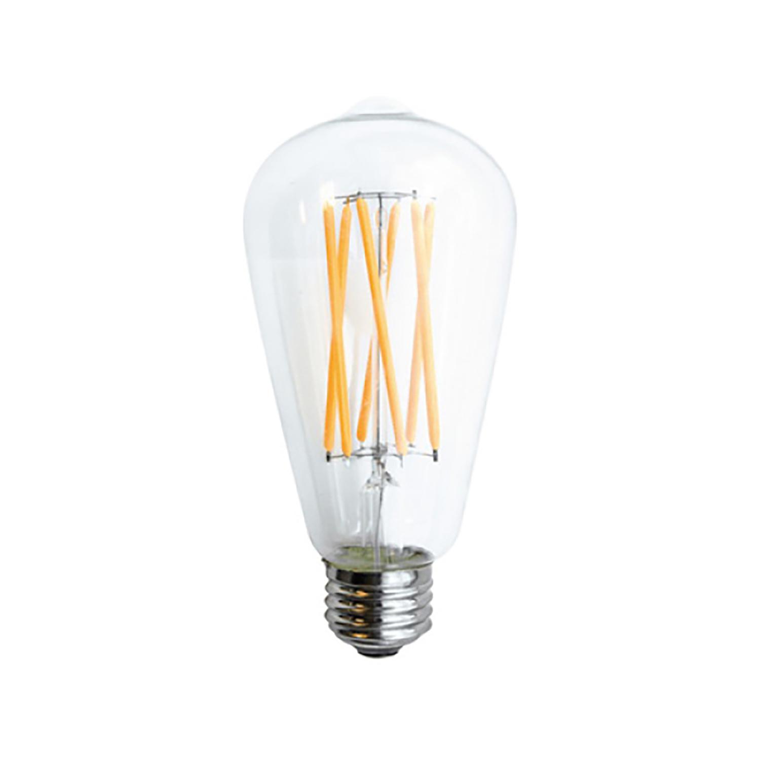 Clear ST19/Edison LED Bulb-4/Pack