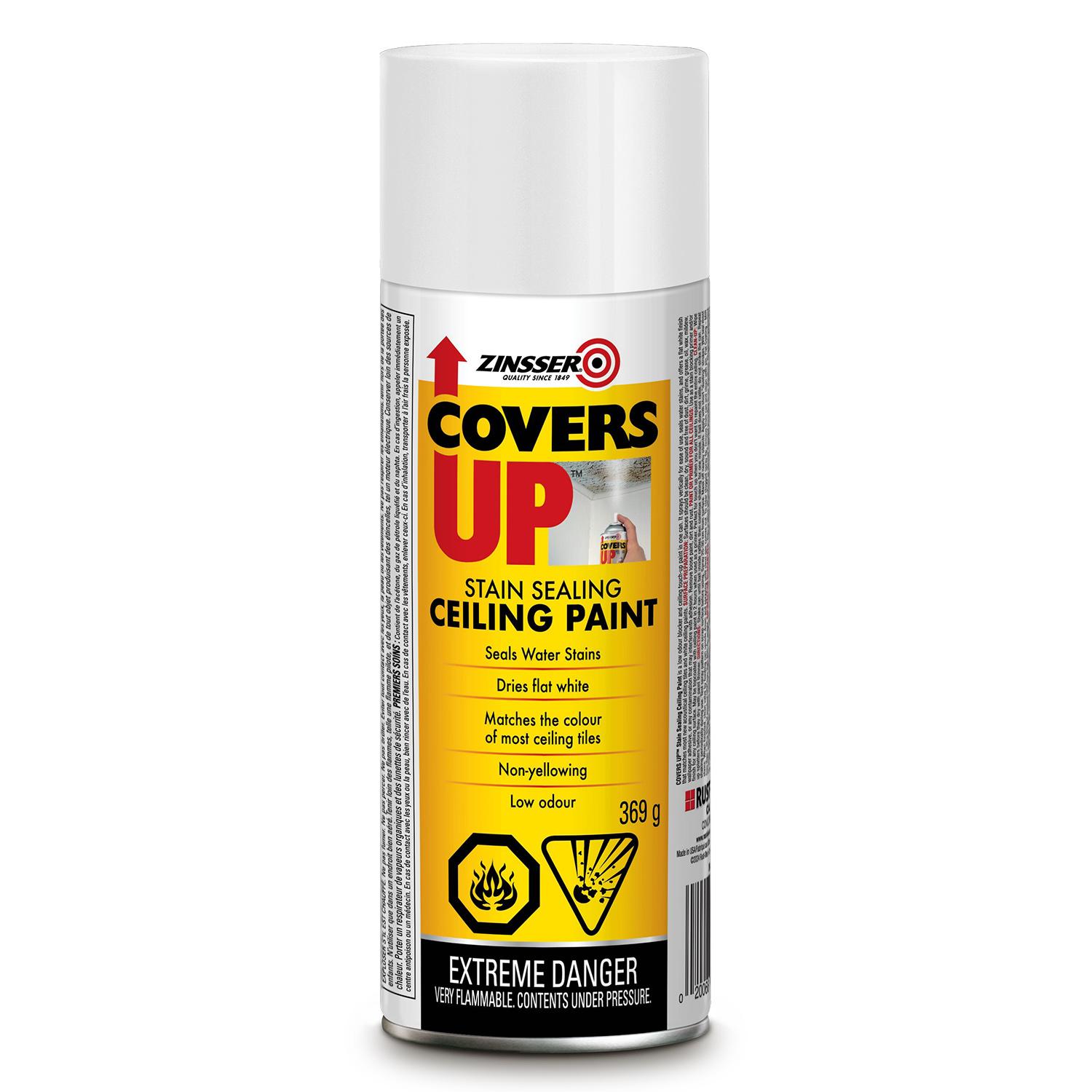 Covers Up Stain Ceiling Paint 369g
