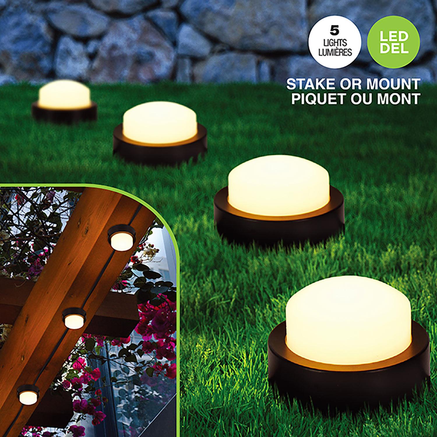 Lumières Solaire Mini 5/Paquet