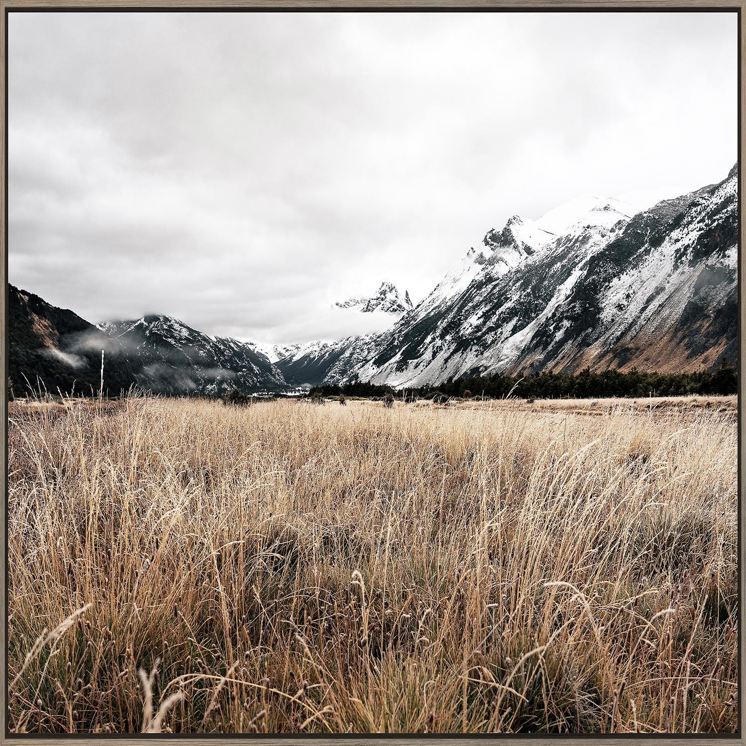 Field of Grass Framed Print 24" x 36"