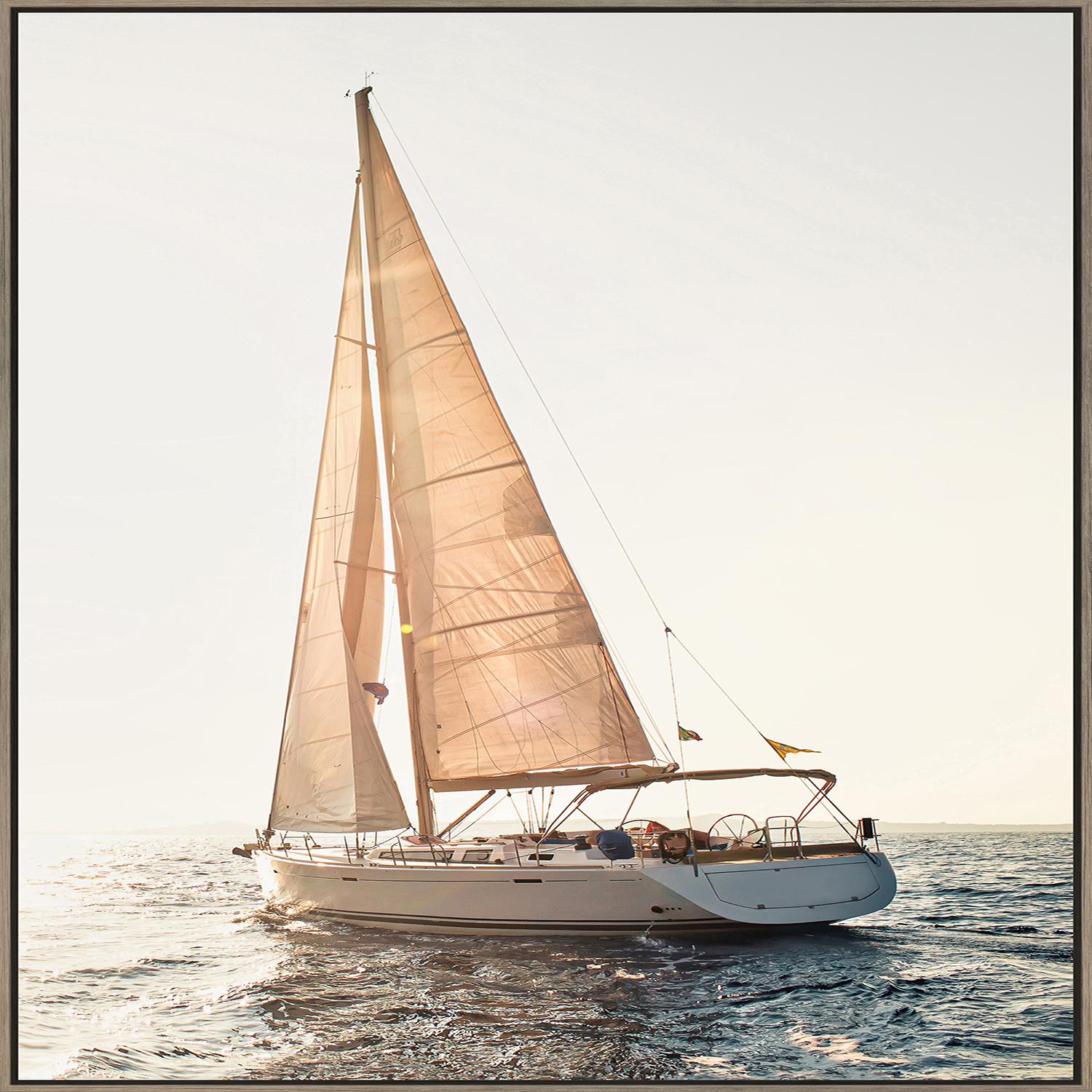 White Sails Framed Print 24" x 36"