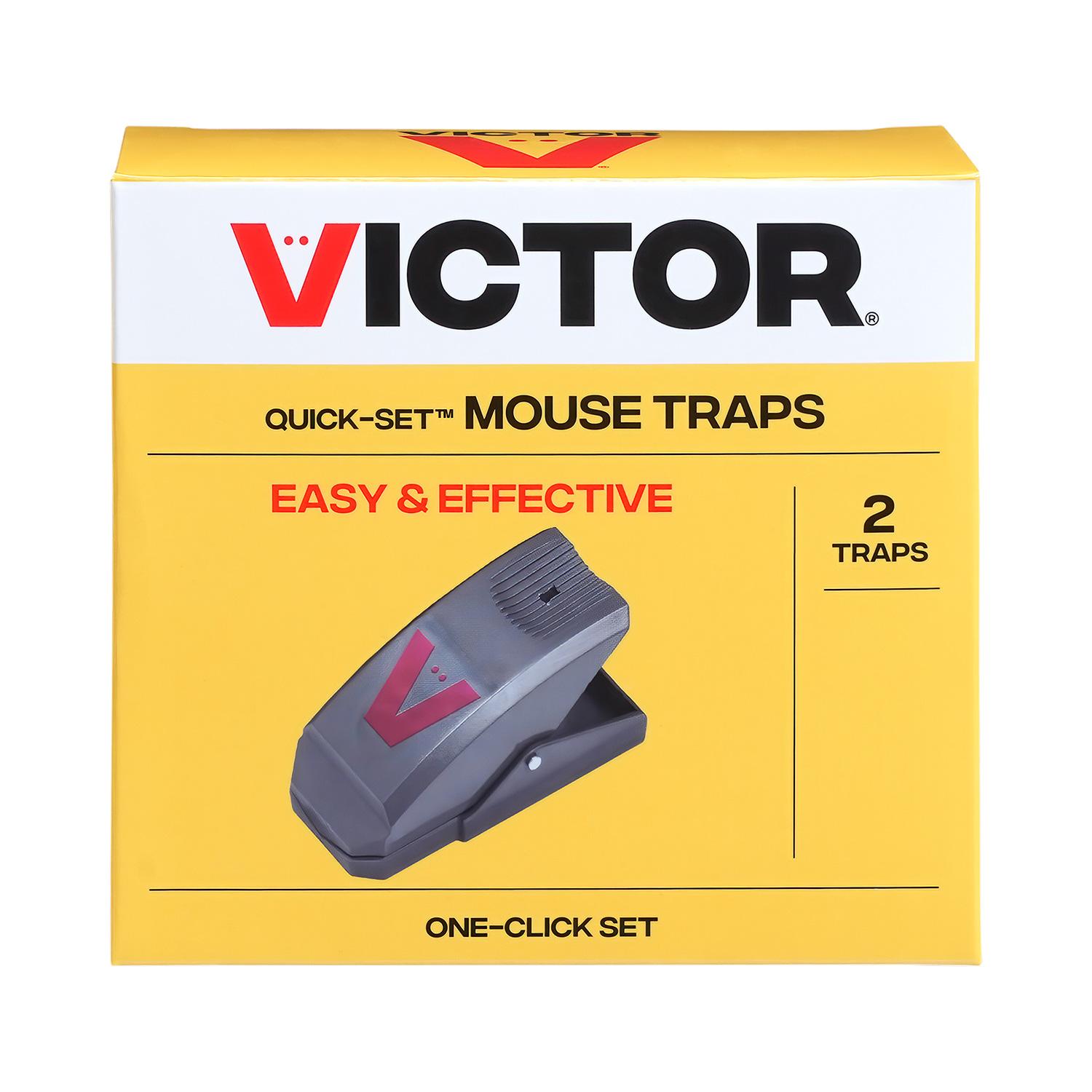 Quick Set Mouse Trap