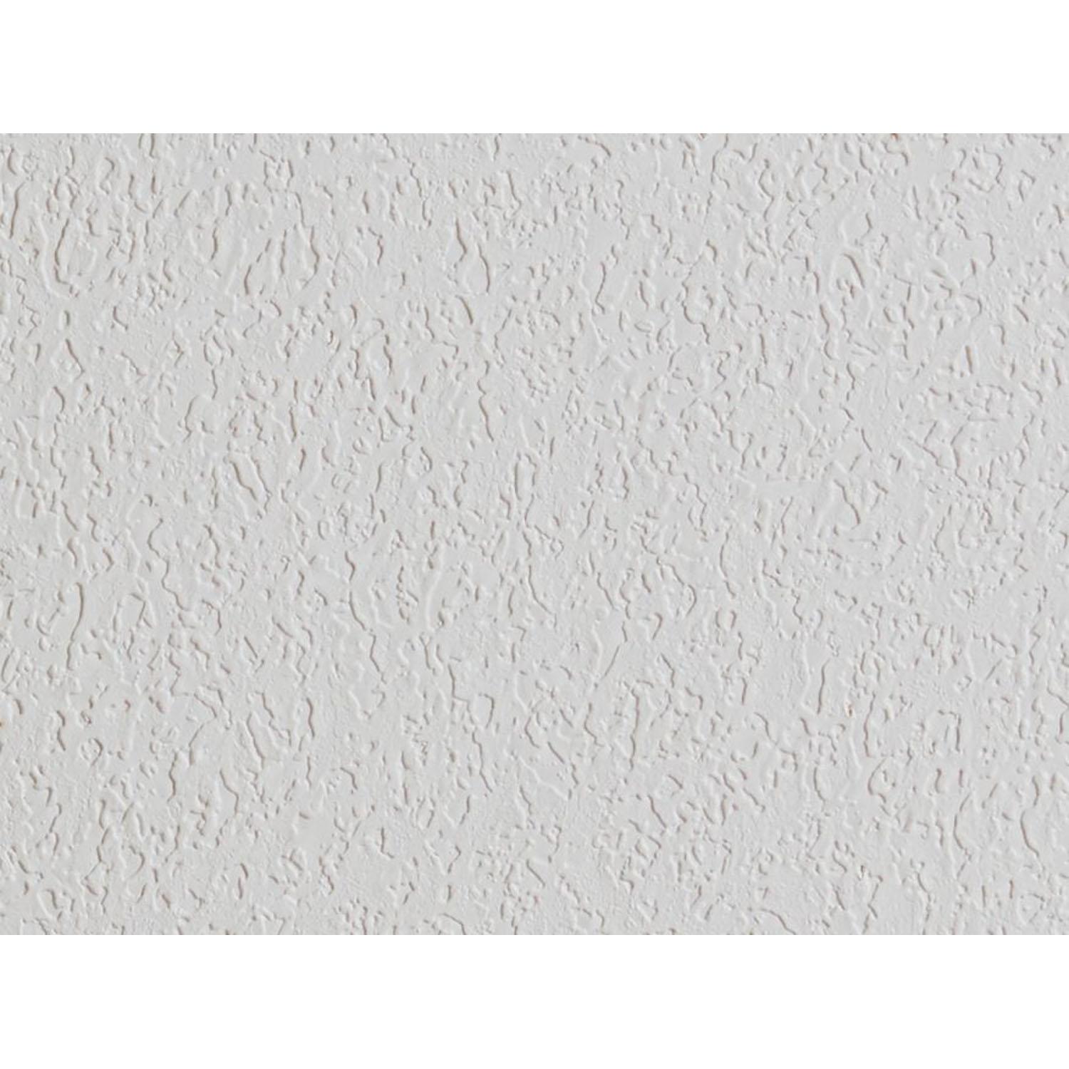 Tabaret  2' x 4' x 5/8" Basic Ceiling Panel - 12/Pieces