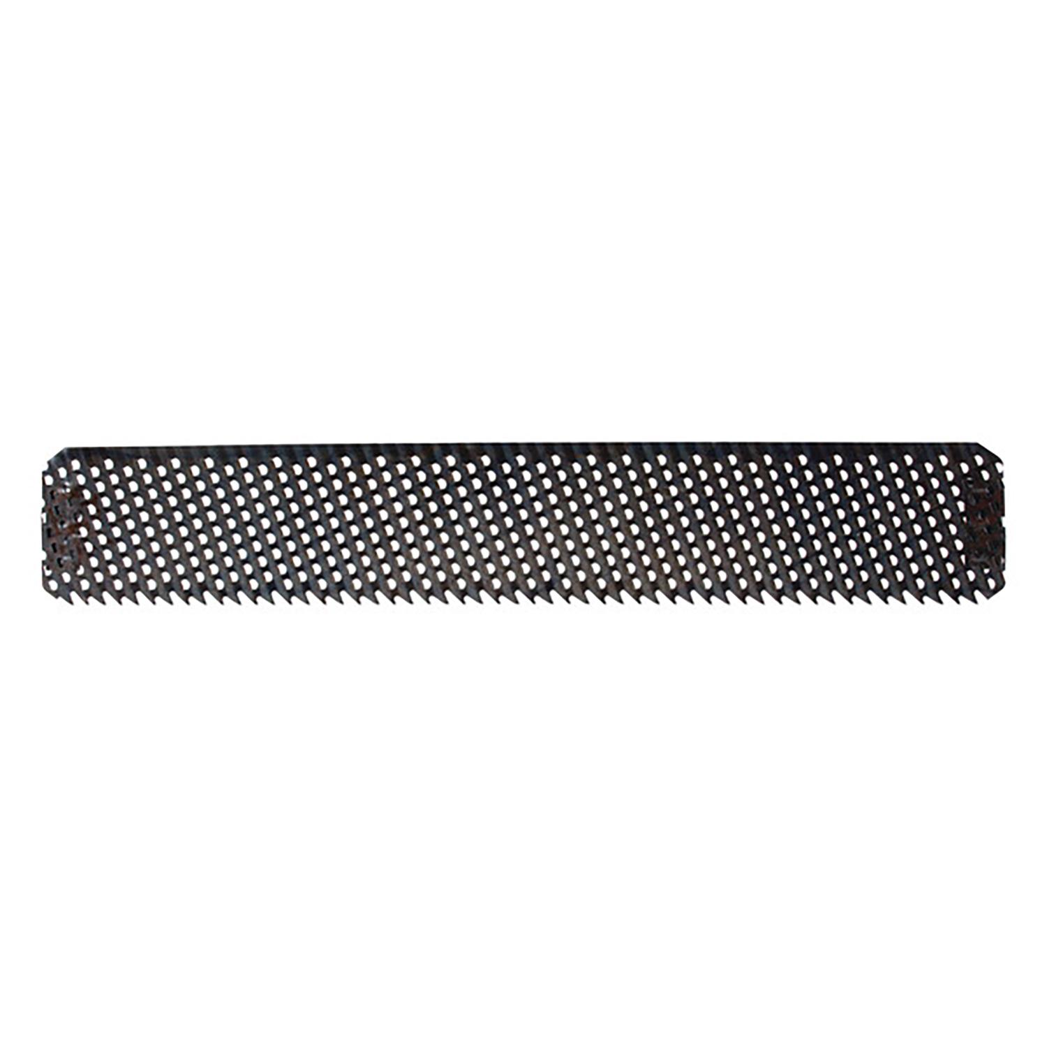 10" Rasp Replacement Blade