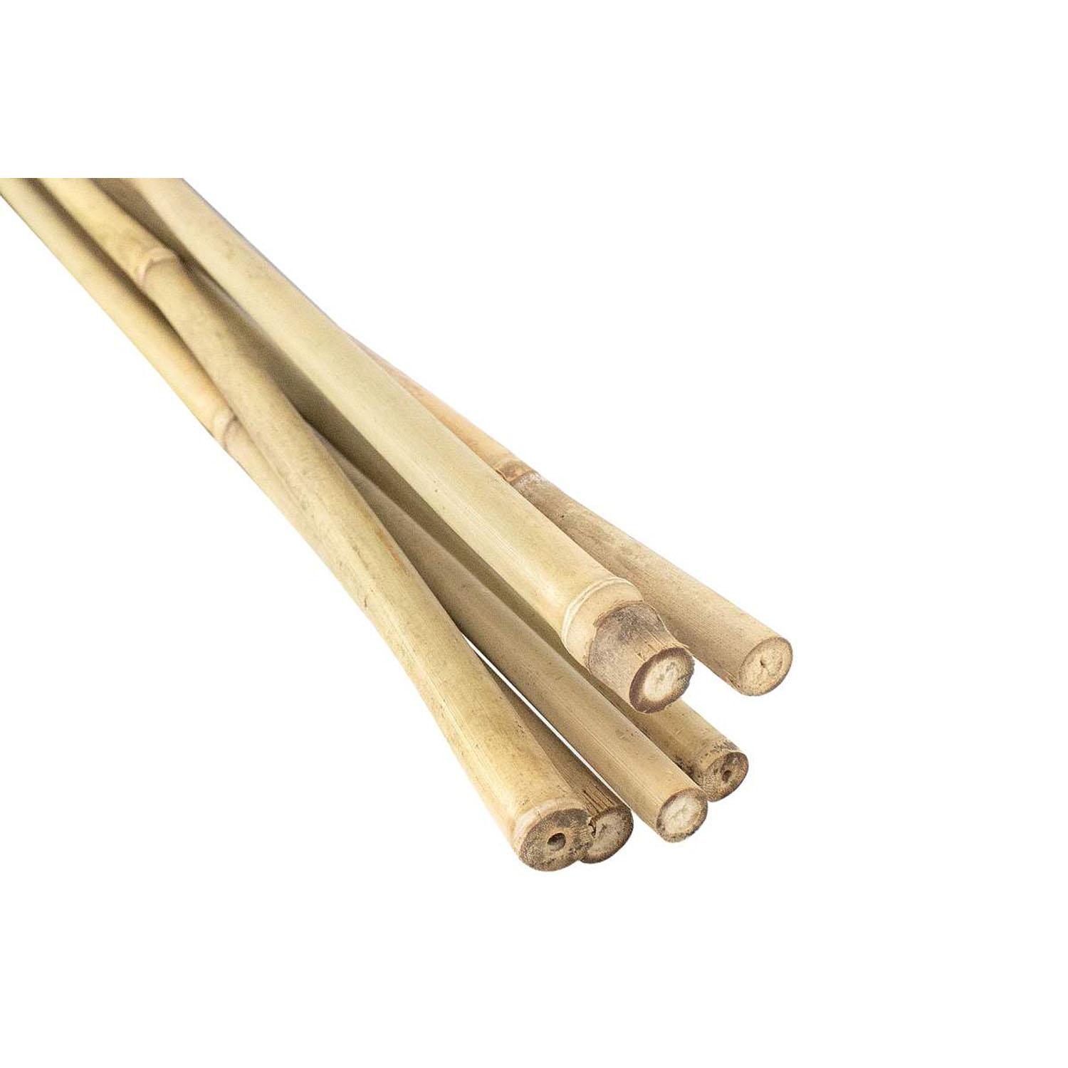 6' Natural "Bamboo" Stake-6/Pack