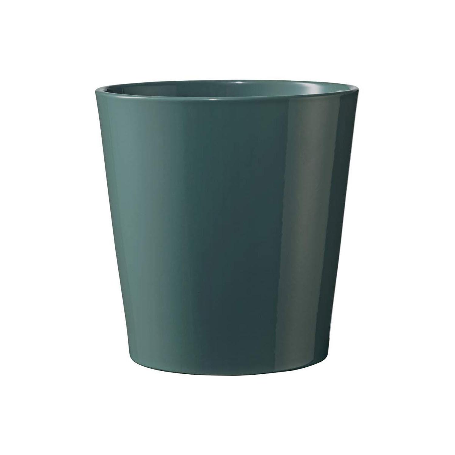 Dallas Pot Breeze Gloss 6"