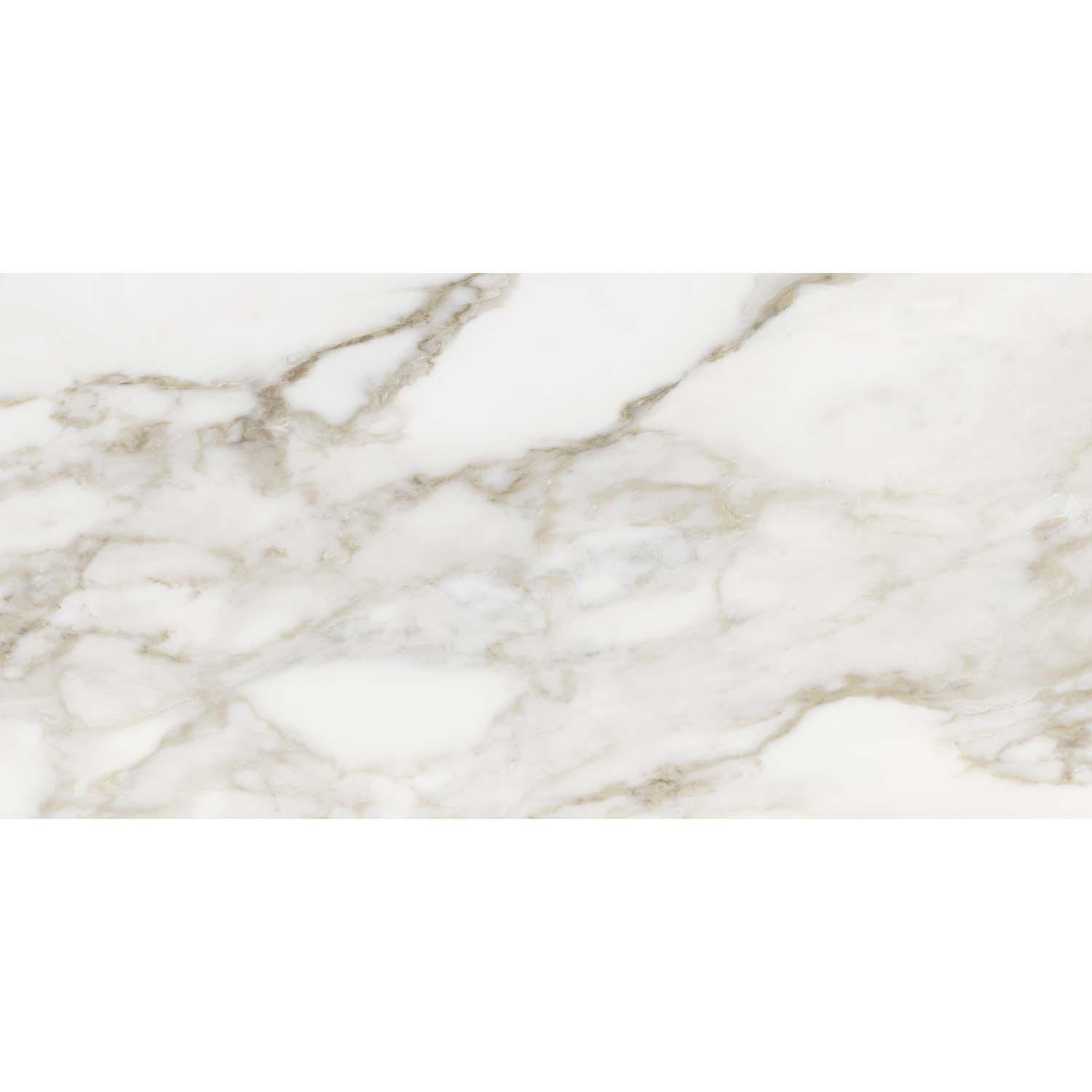 12" x 24" Lumino Calacatta MattePressed Porcelain 15.5 SF/Bx