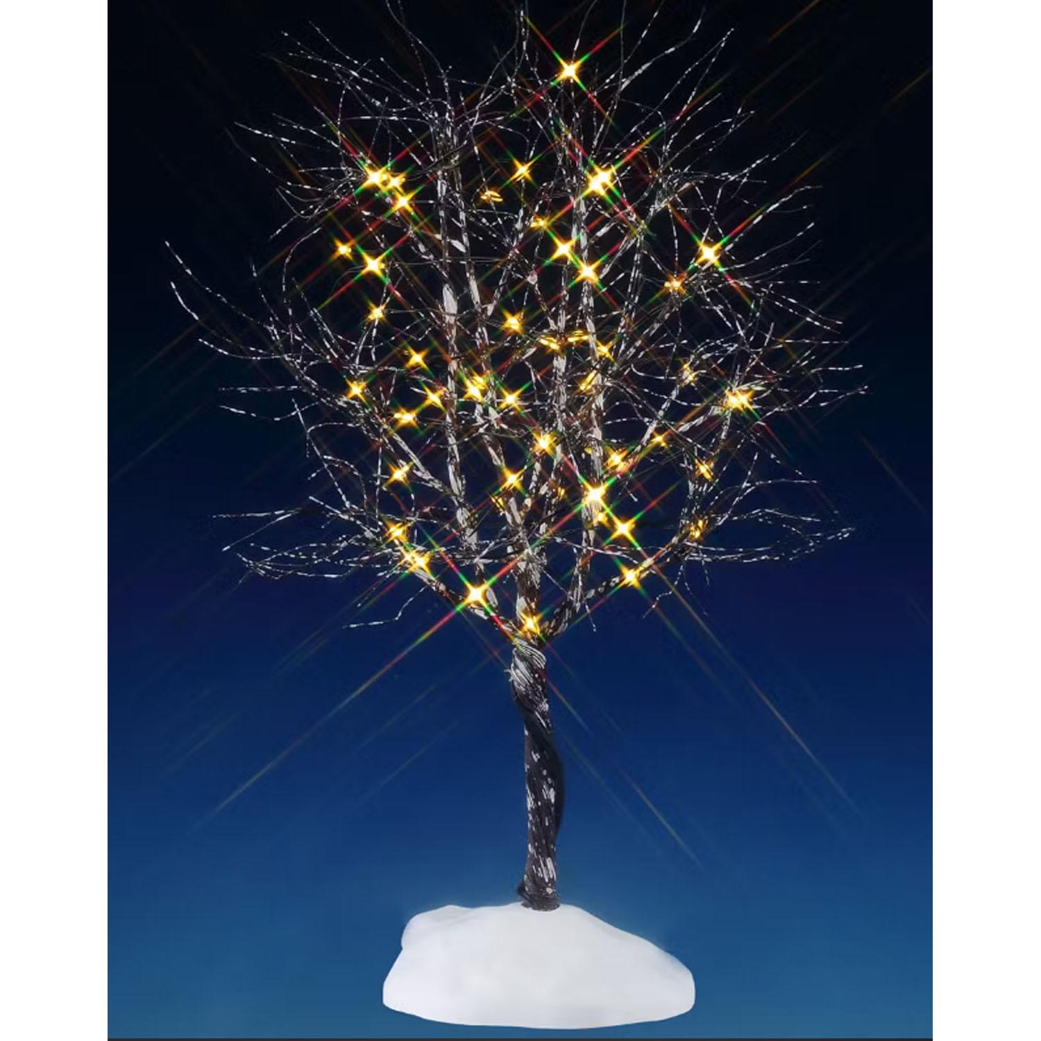 Butternut Tree with Clear Light