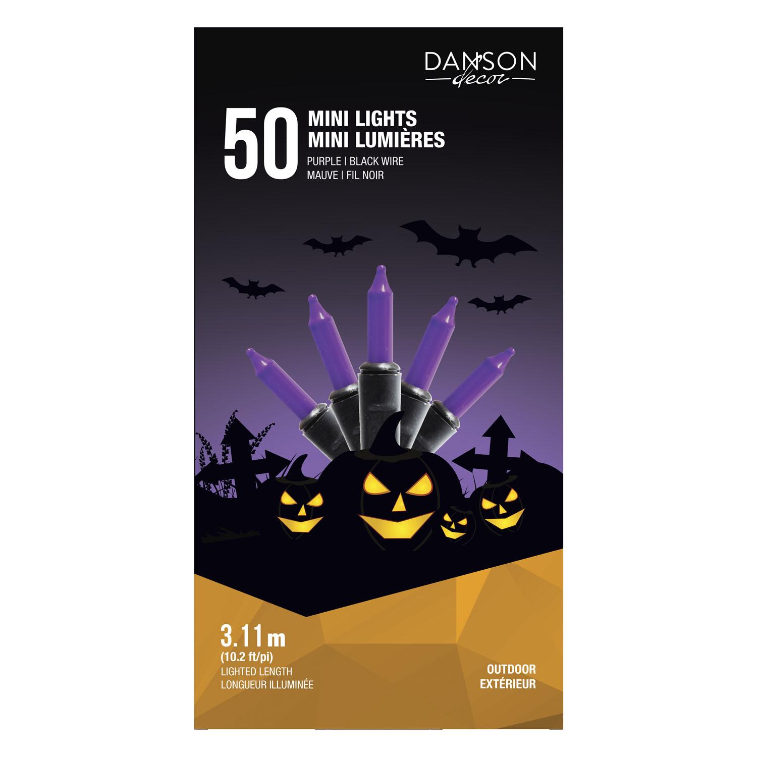 Mini lumières extérieures avec 50 lumières