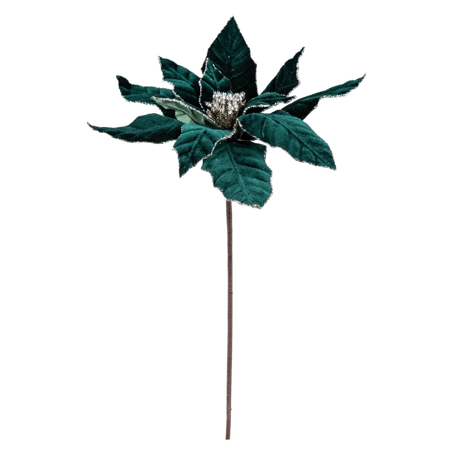 Stem Green Poinsettia