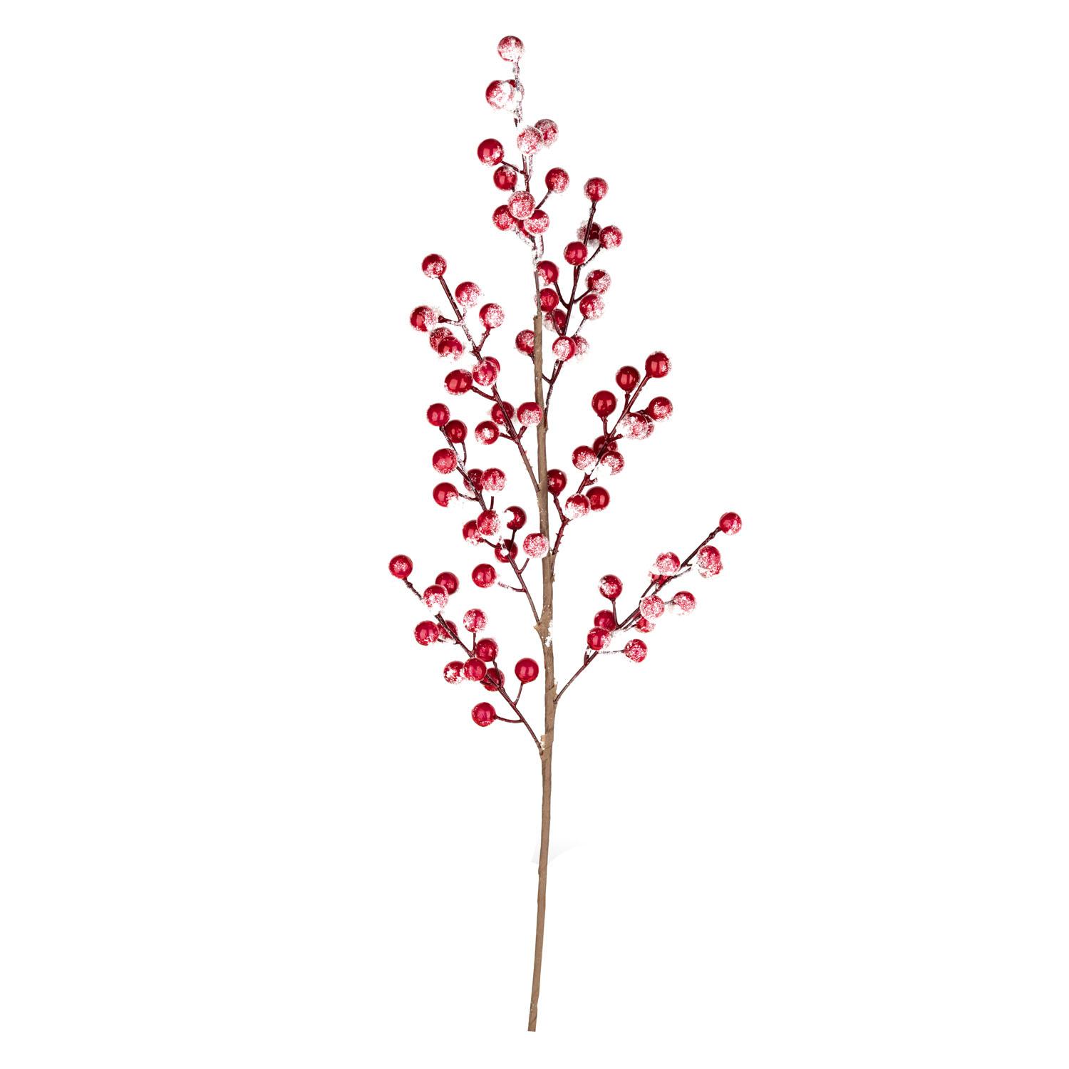 Stem Frosted Berry