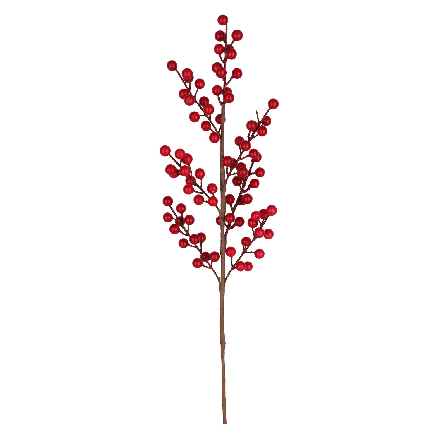 Stem Berry