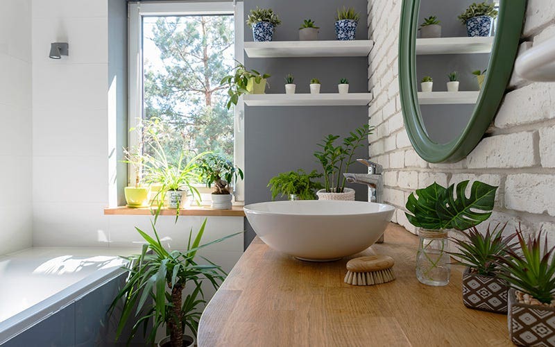 Une scène de salle de bain sereine avec un évier, une baignoire et des plantes vibrantes poussant sur le mur, créant une atmosphère calmante.