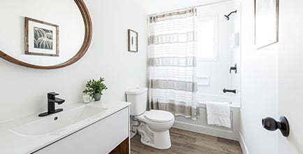 Bathroom Update on a Budget image