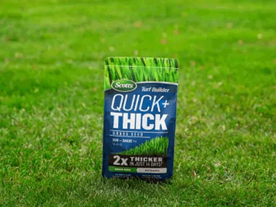 Lawn & Grass Care Image