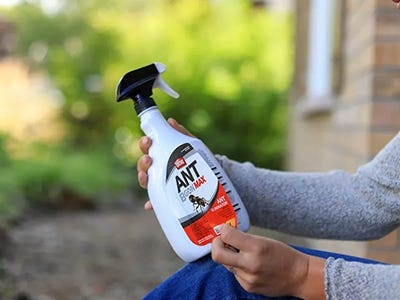 Pest & Insect Control Image