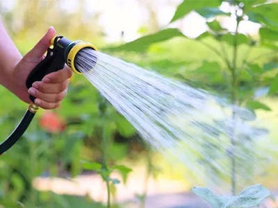 Watering Image