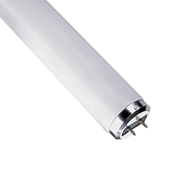Fluorescent Bulbs Image