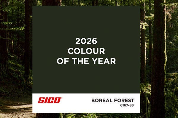 SICO Color of the year 2026 Banner
