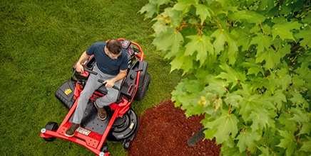 Lawn Mower image