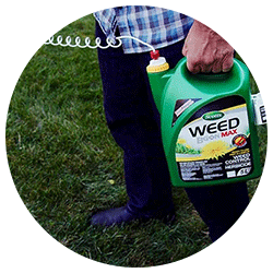 Weed Control