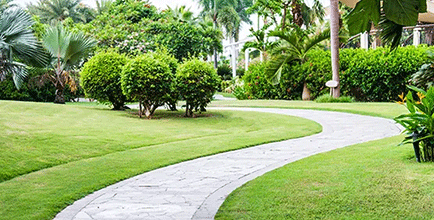 DIY Summer: Improve your outdoor attraction image