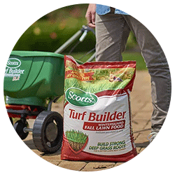 Lawn fertilizer