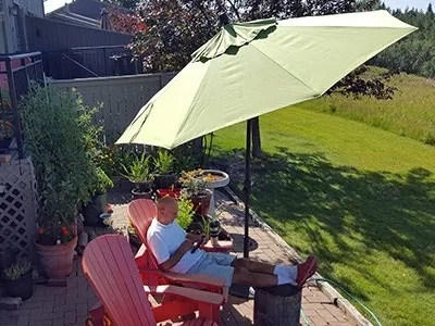 Umbrellas image